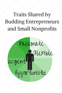 Budding Entrepreneurs and Small Nonprofits