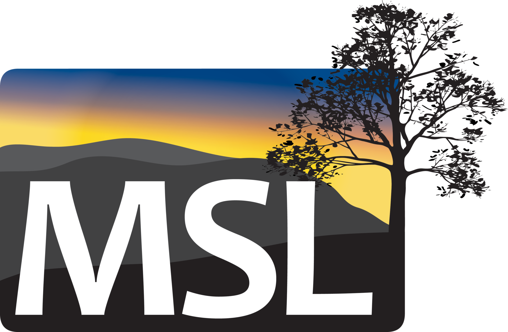 msl-consulting-llc-nonprofit-hub