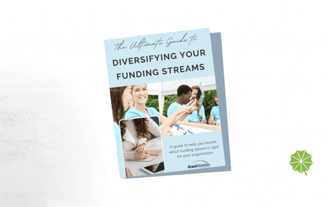 The Ultimate Guide to Diversifying Your Funding Streams